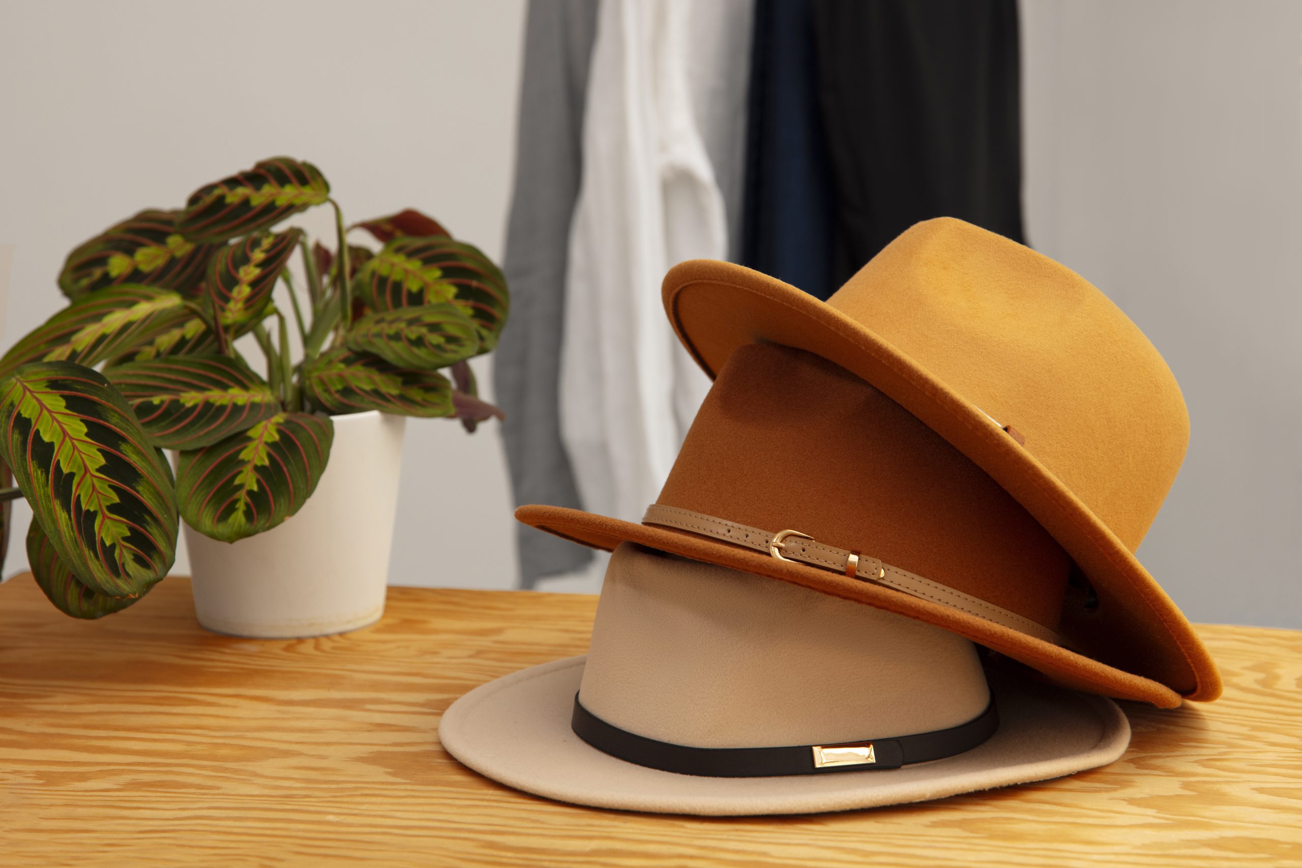 assortment-stylish-fedora-hats